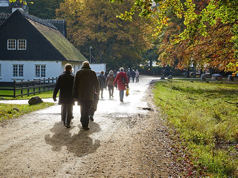 ldresagen aulum|Information om Ældre Sagen og Lokalafdelingen